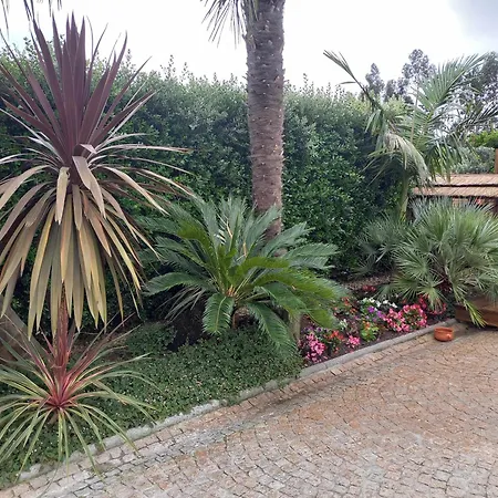 Currais O Pequeno Paraiso Entre O Mar E A Serra * Aveiro