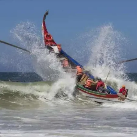 Currais O Pequeno Paraiso Entre O Mar E A Serra Aveiro
