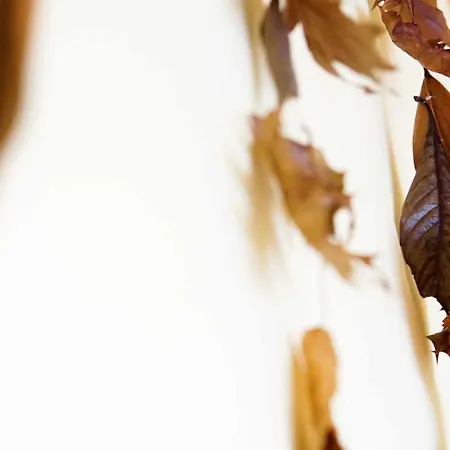 Hostel Currais O Pequeno Paraiso Entre O Mar E A Serra Aveiro