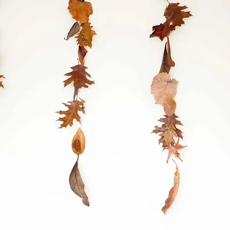 Currais O Pequeno Paraiso Entre O Mar E A Serra Hostel