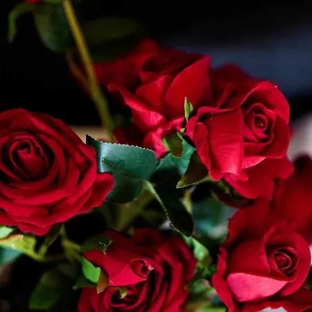 Currais O Pequeno Paraiso Entre O Mar E A Serra Hostel Aveiro