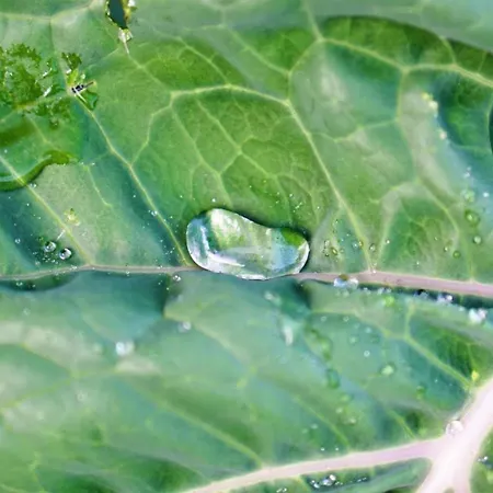 Hostel Currais O Pequeno Paraiso Entre O Mar E A Serra *