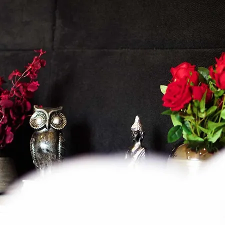 Currais O Pequeno Paraiso Entre O Mar E A Serra * Aveiro