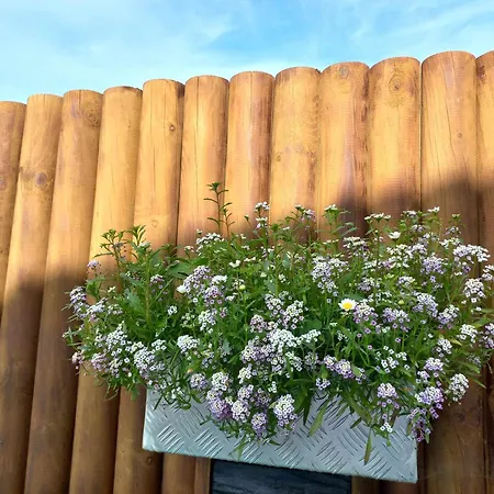 Currais O Pequeno Paraiso Entre O Mar E A Serra * Aveiro