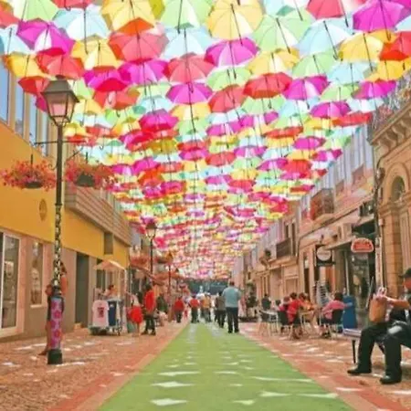 Hostel Currais O Pequeno Paraiso Entre O Mar E A Serra