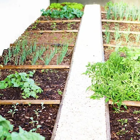 Currais O Pequeno Paraiso Entre O Mar E A Serra