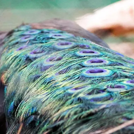 Currais O Pequeno Paraiso Entre O Mar E A Serra Hostel