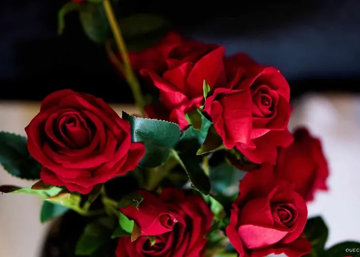 Currais O Pequeno Paraiso Entre O Mar E A Serra Hostel Aveiro