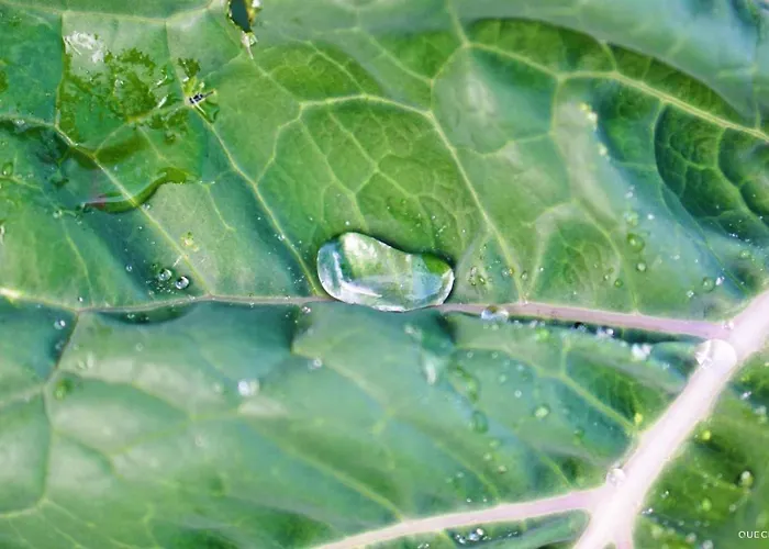 Hostel Currais O Pequeno Paraiso Entre O Mar E A Serra *