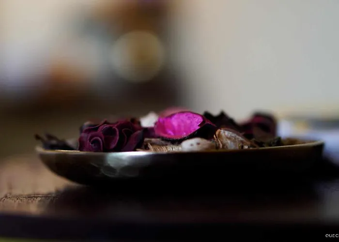 Currais O Pequeno Paraiso Entre O Mar E A Serra Hostel Aveiro