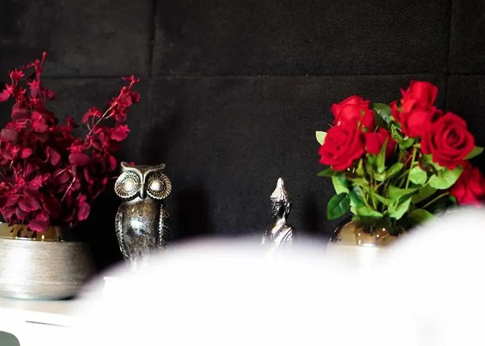 Currais O Pequeno Paraiso Entre O Mar E A Serra * Aveiro