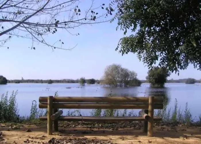 Currais O Pequeno Paraiso Entre O Mar E A Serra * Aveiro